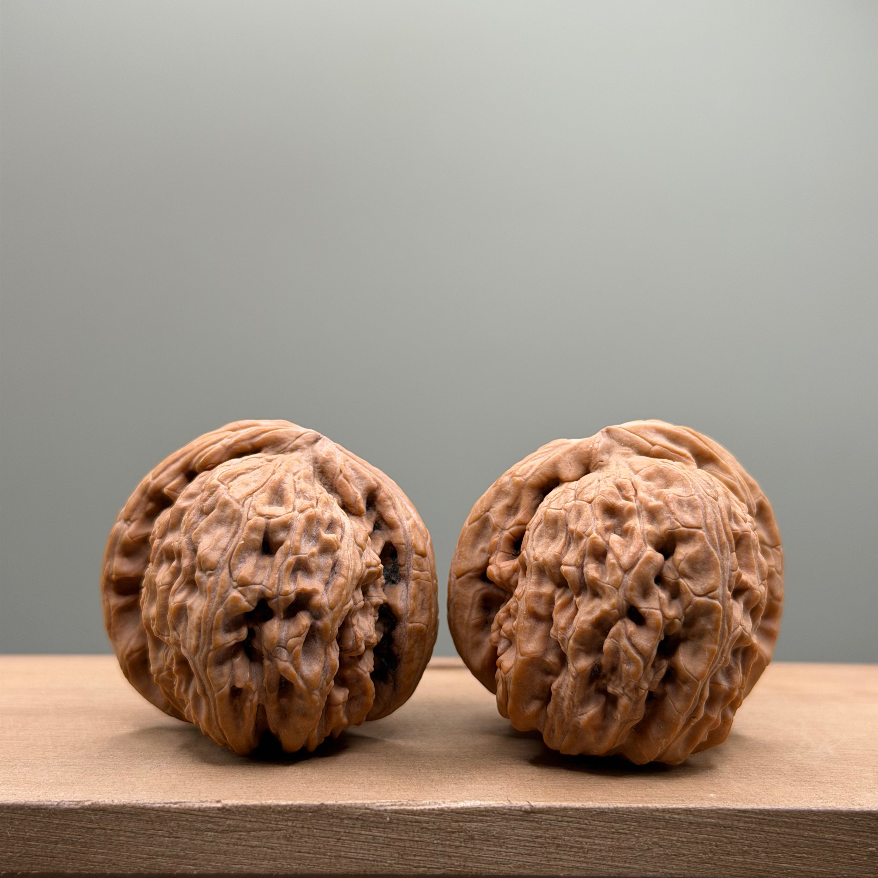 White Lion Head Walnut
