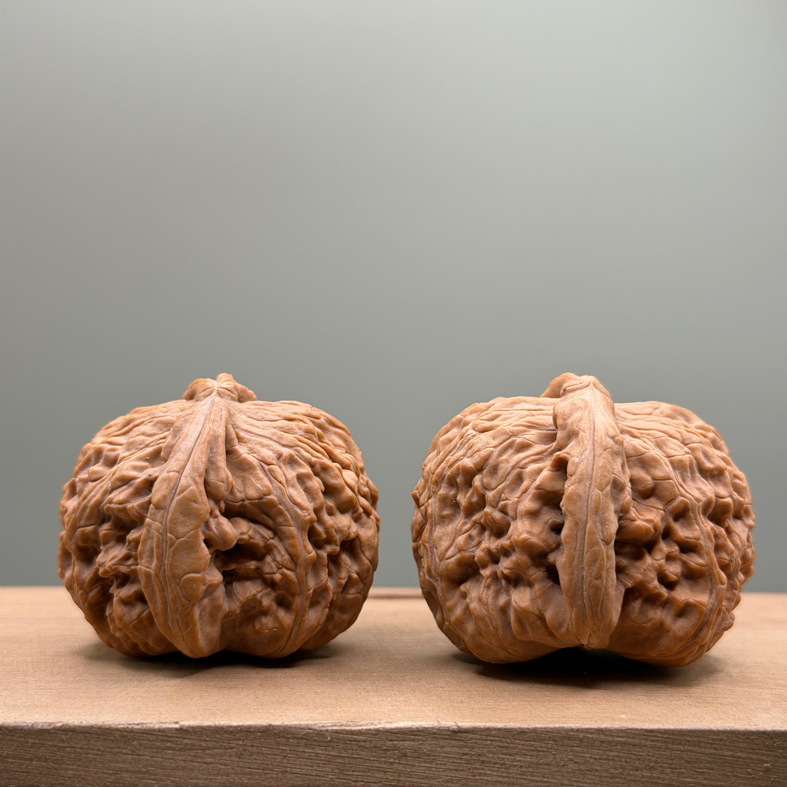 White Lion Head Walnut