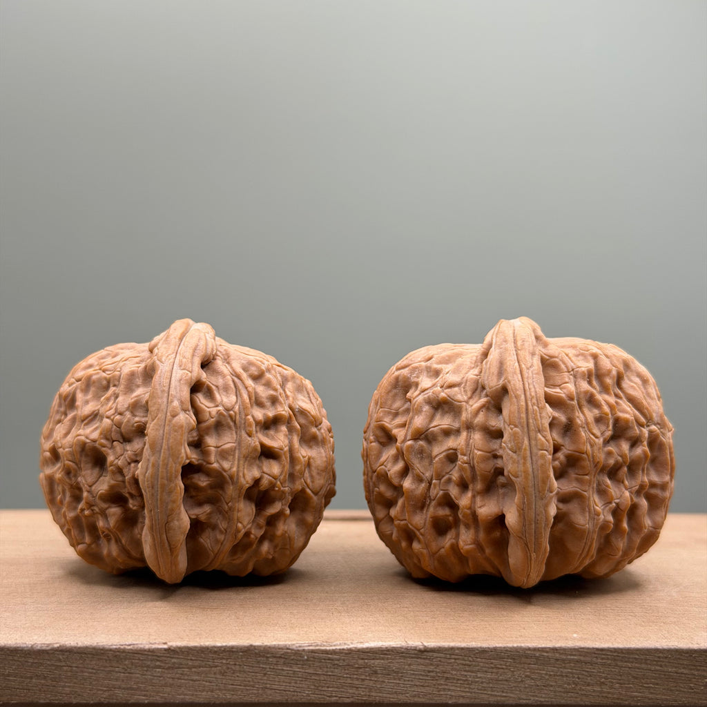White Lion Head Walnut