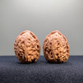Pinggu Sheli Wenwan Walnut · 32mm · Natural · Collector Ritual