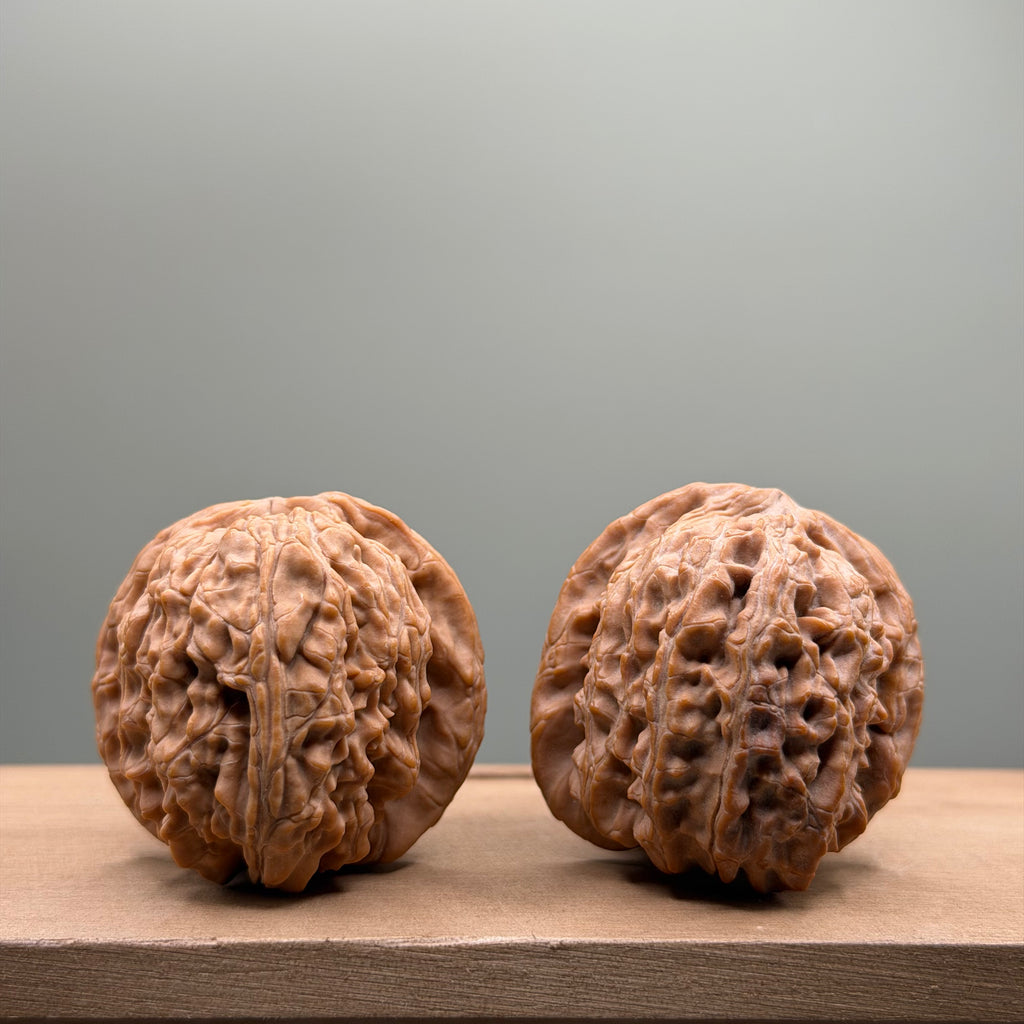 White Lion Head Walnut