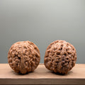 White Lion Head Walnut