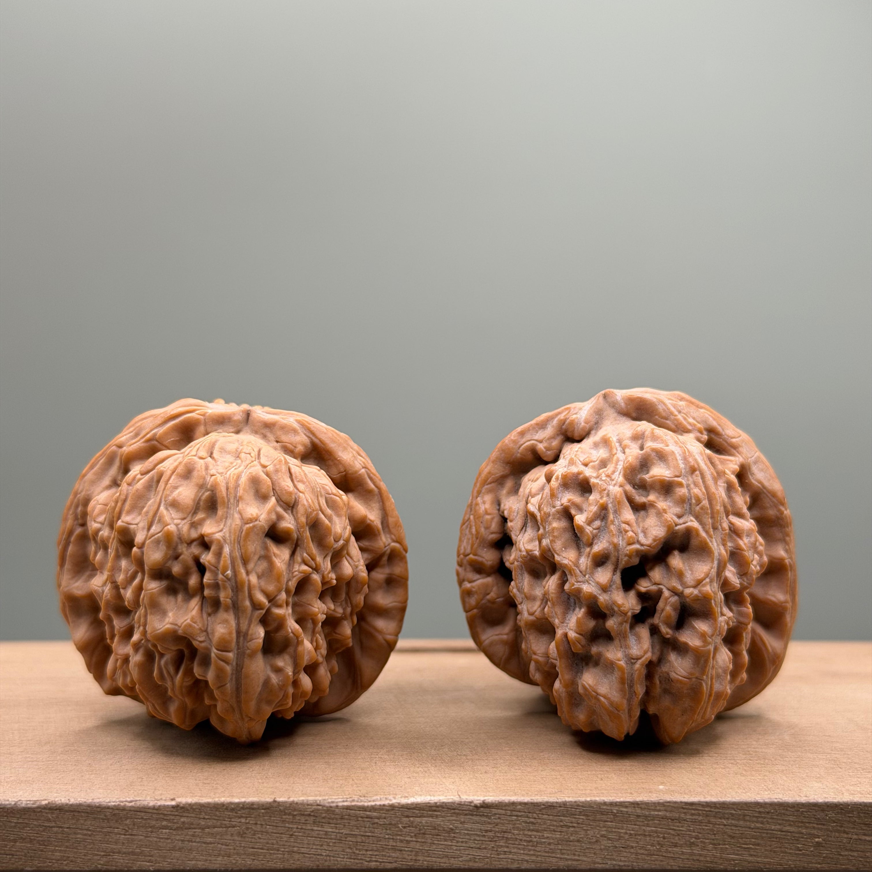 White Lion Head Walnut