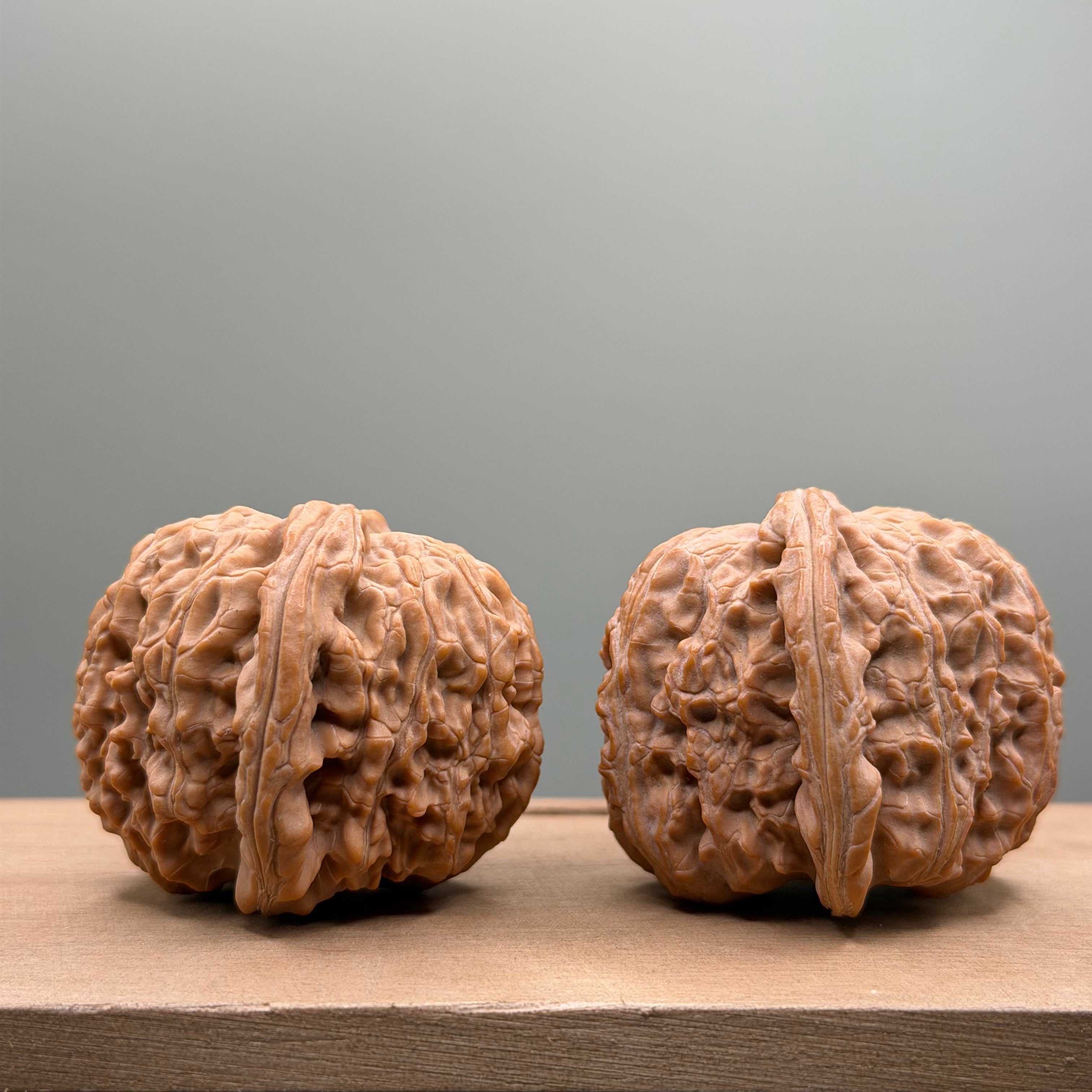 White Lion Head Walnut