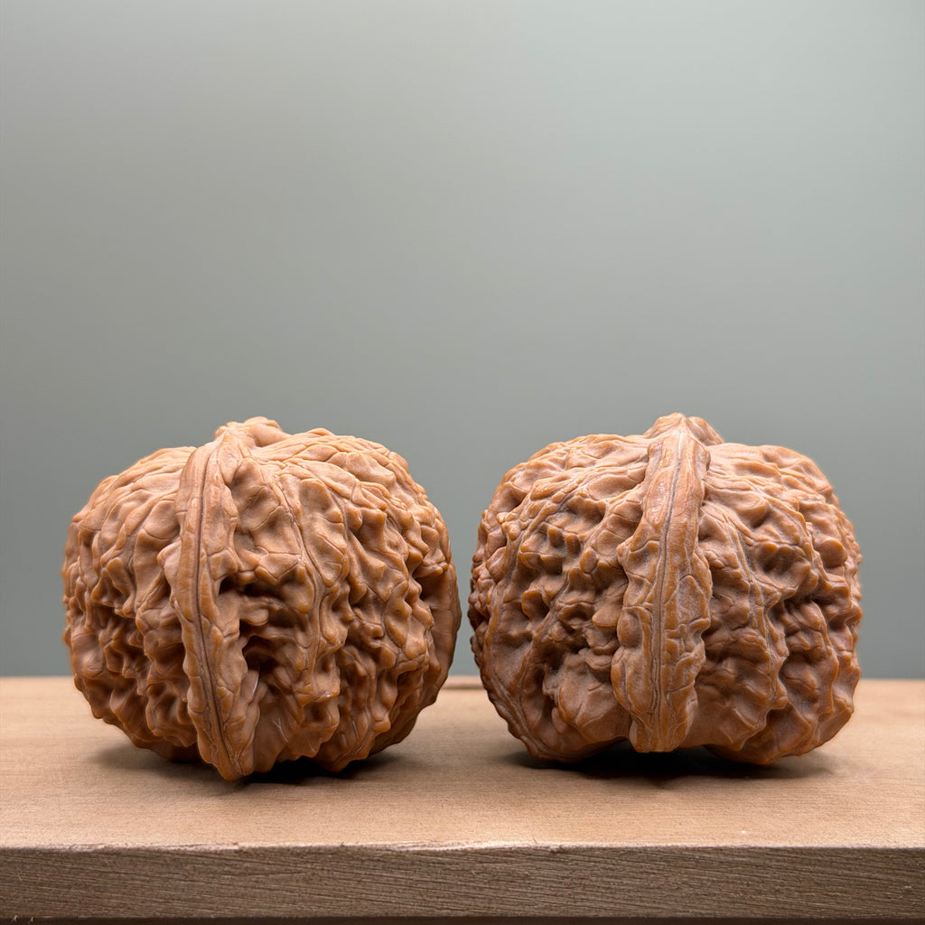 White Lion Head Walnut