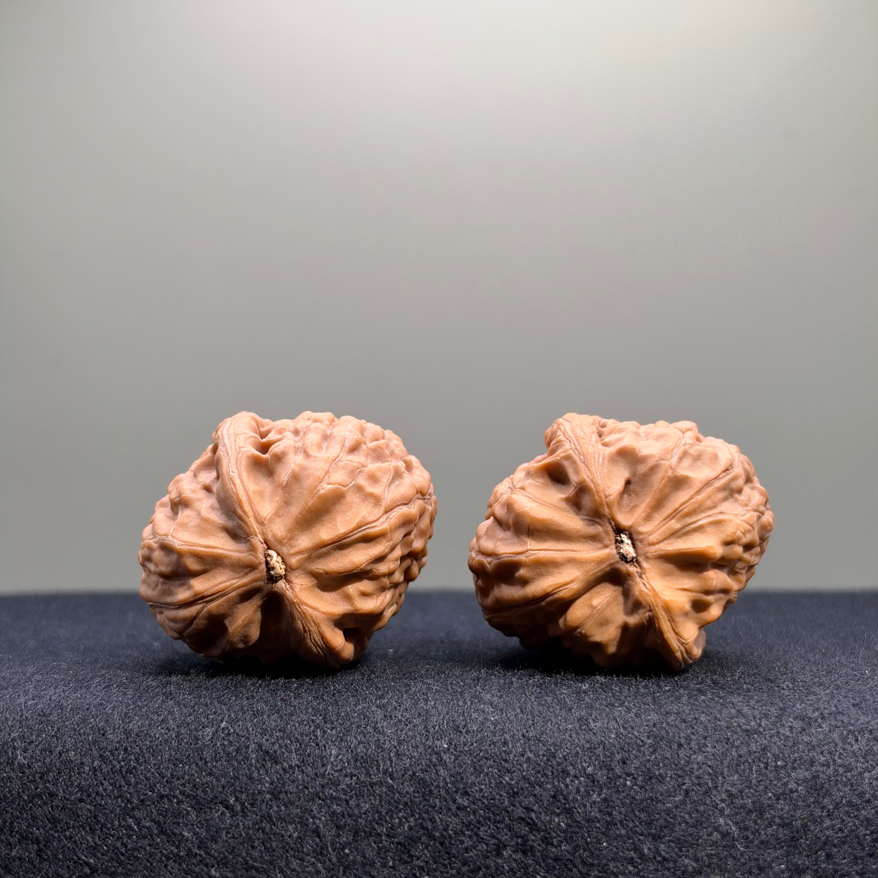 Pinggu Sheli Wenwan Walnut · 32mm · Natural · Collector Ritual