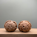White Lion Head Walnut