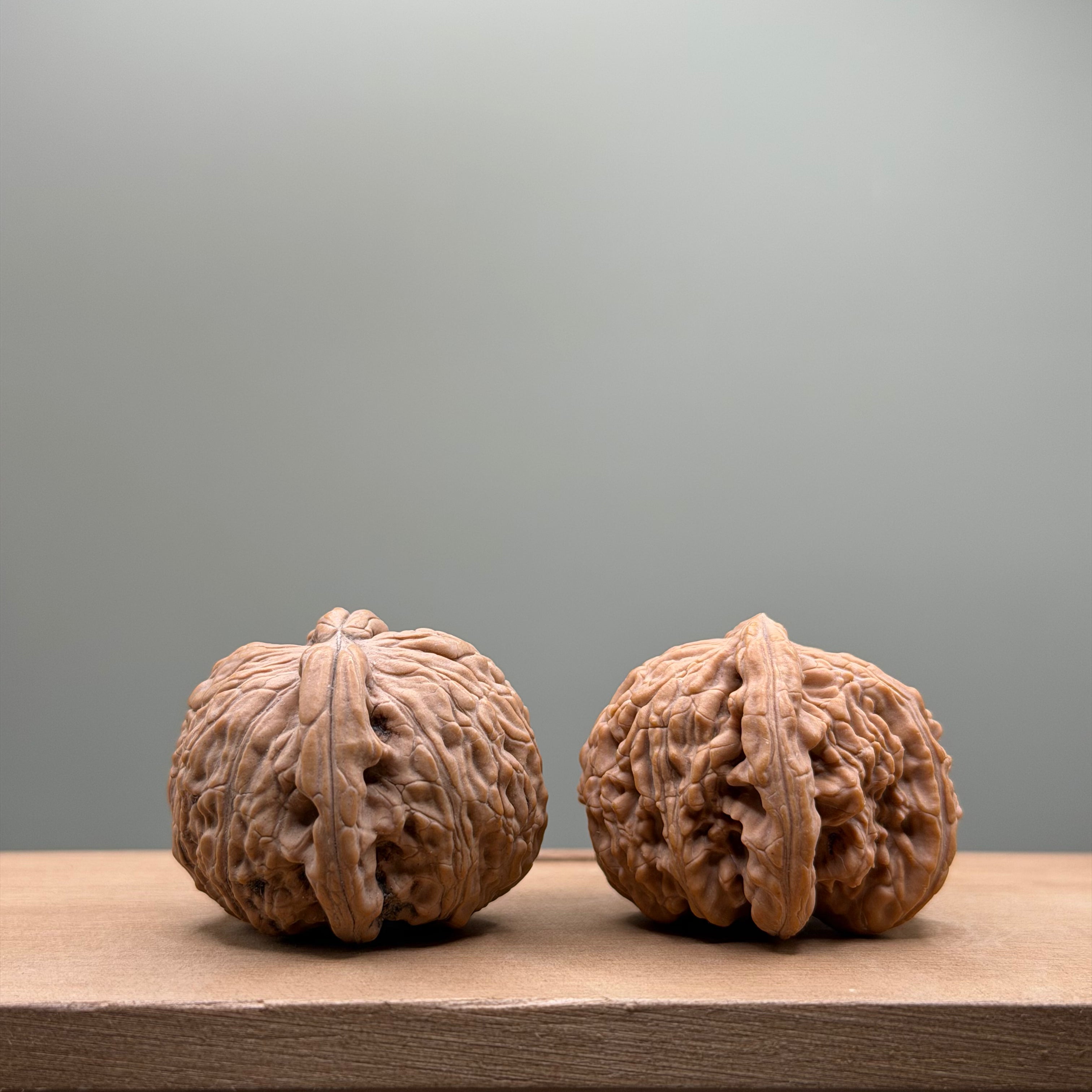 White Lion Head Walnut