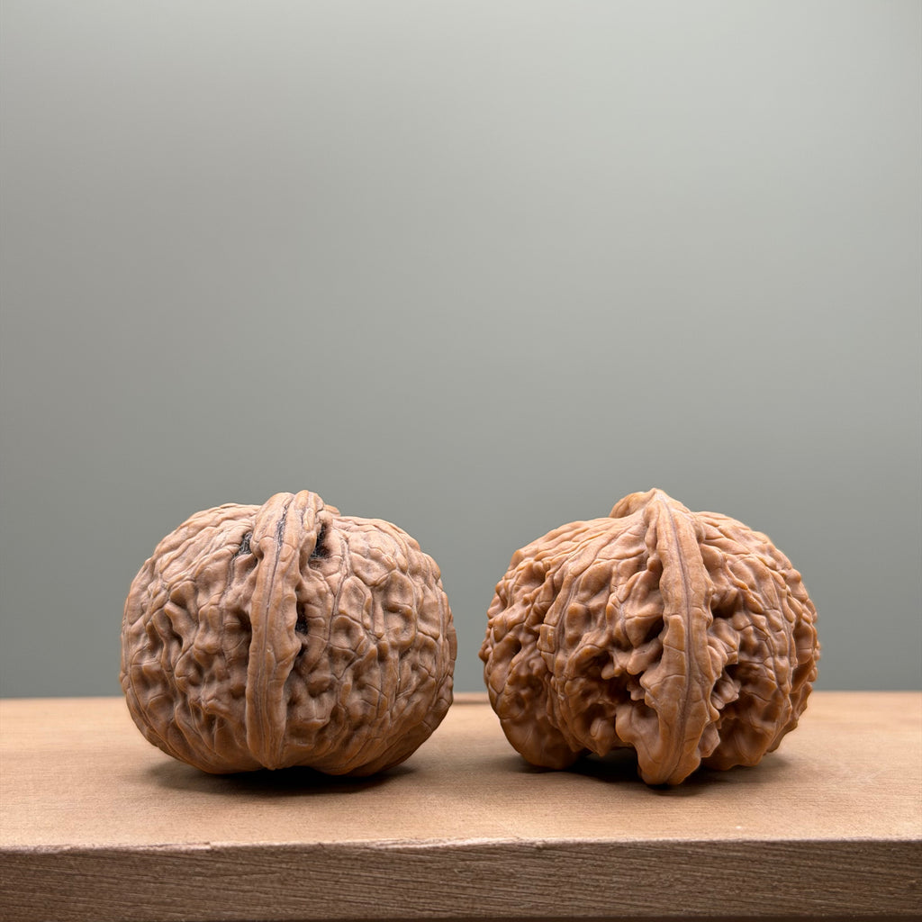 White Lion Head Walnut