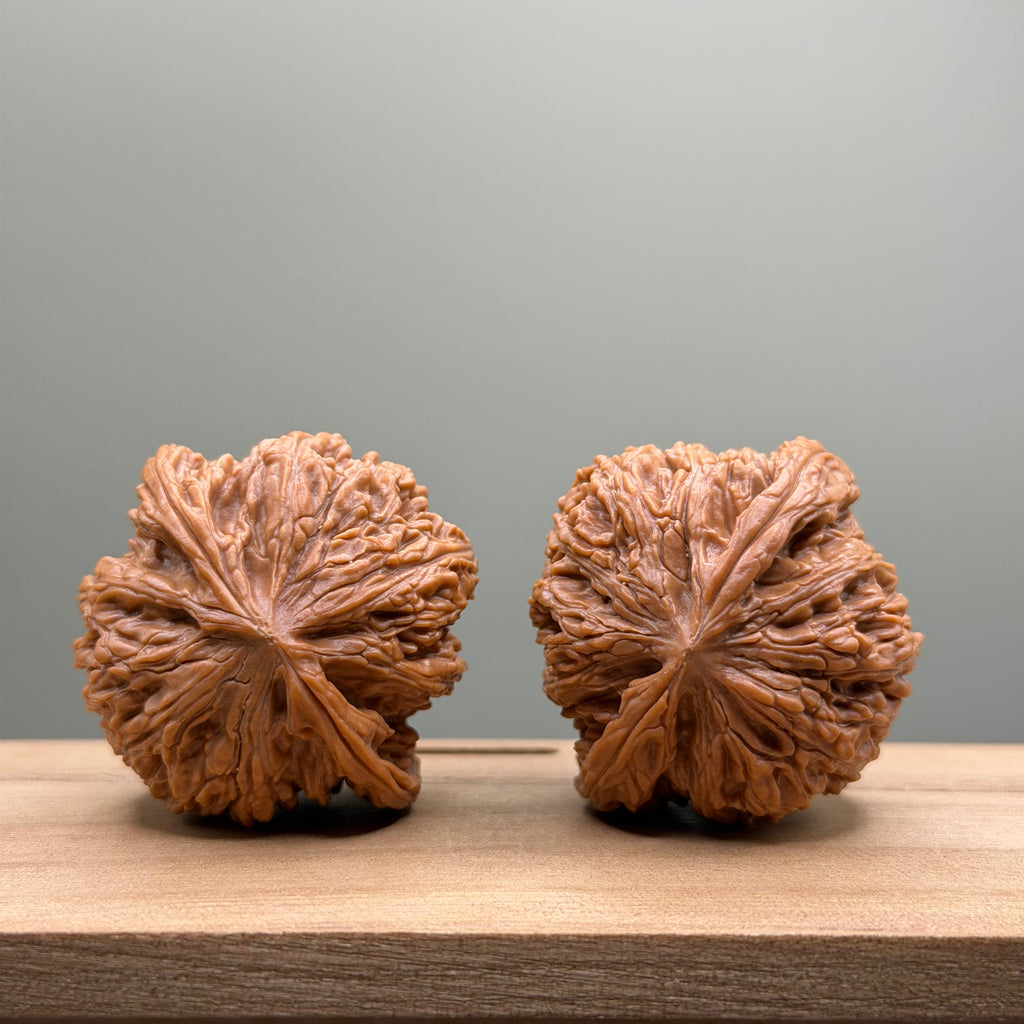Dense Grain (Miwen) Lion Head Walnut
