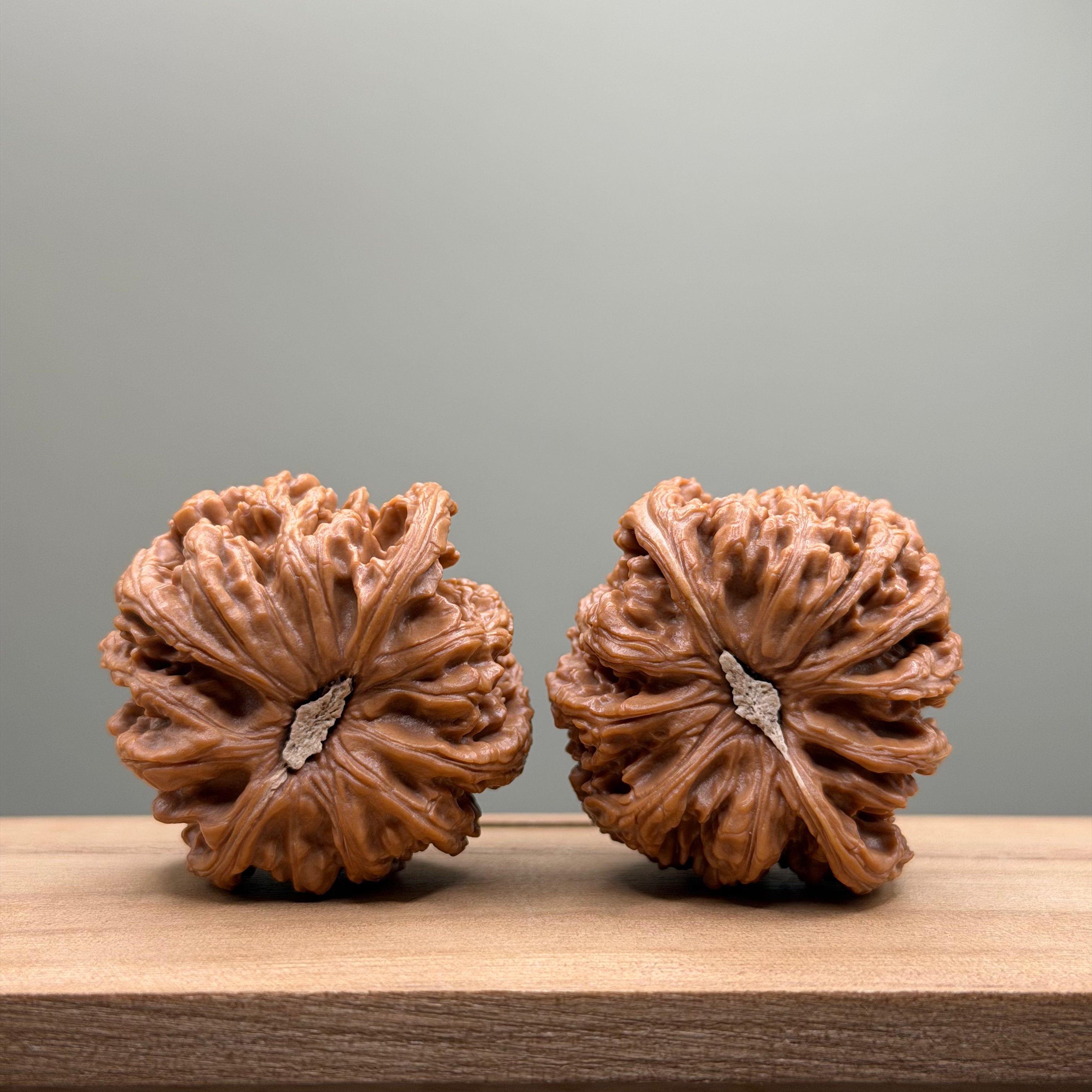 Dense Grain (Miwen) Lion Head Walnut