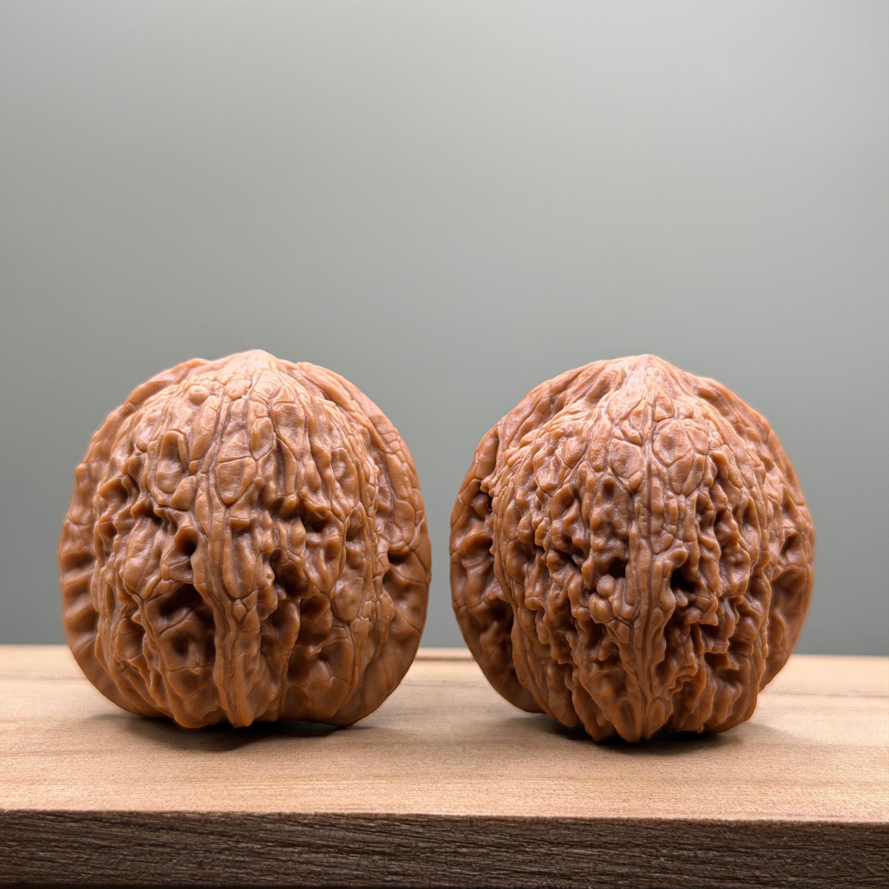 Hydrangea Lion Head Walnut