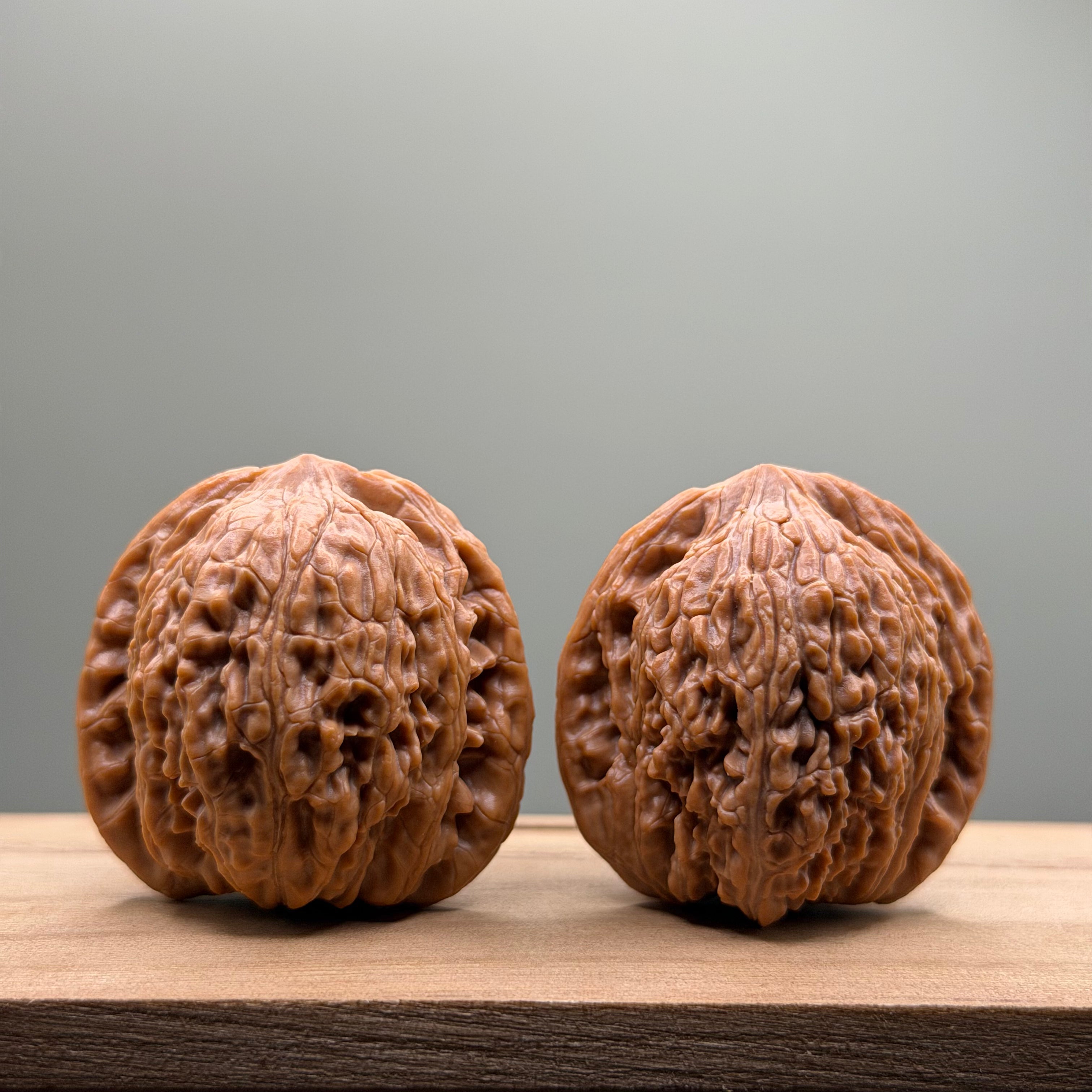 Hydrangea Lion Head Walnut
