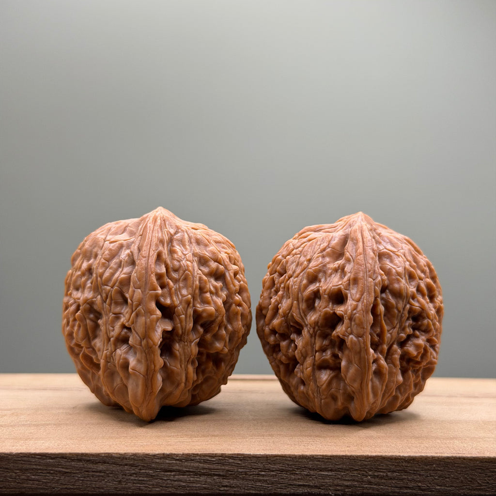Hydrangea Lion Head Walnut