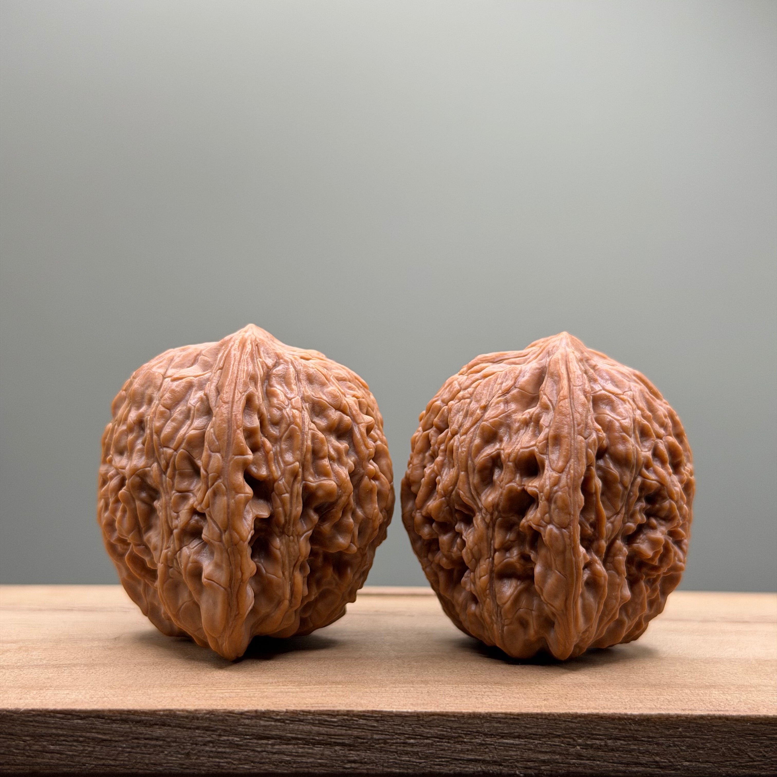 Hydrangea Lion Head Walnut