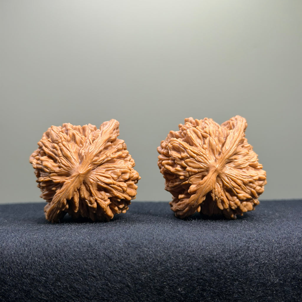 Four Towers Wenwan Walnut · 42mm · Select Ritual
