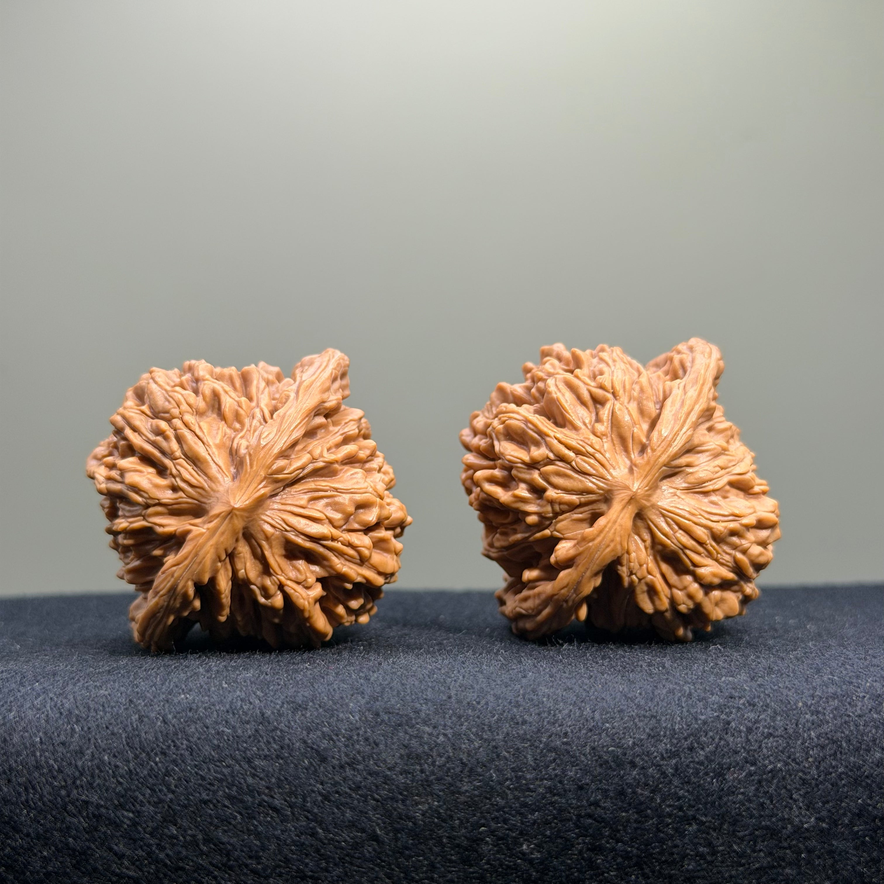 Four Towers Wenwan Walnut · 42mm · Select Ritual