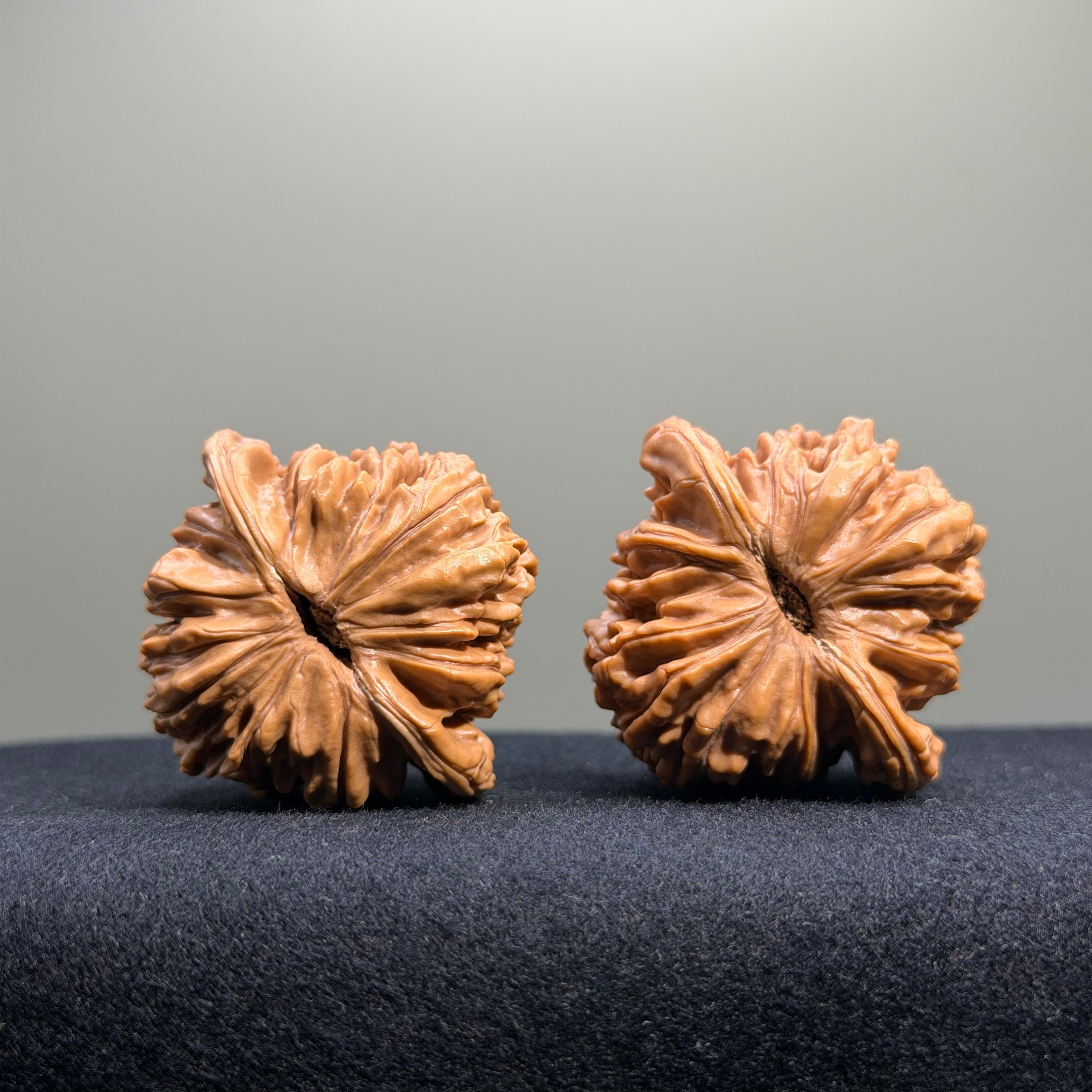 Four Towers Wenwan Walnut · 42mm · Select Ritual