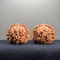 Four Towers Wenwan Walnut · 42mm · Select Ritual