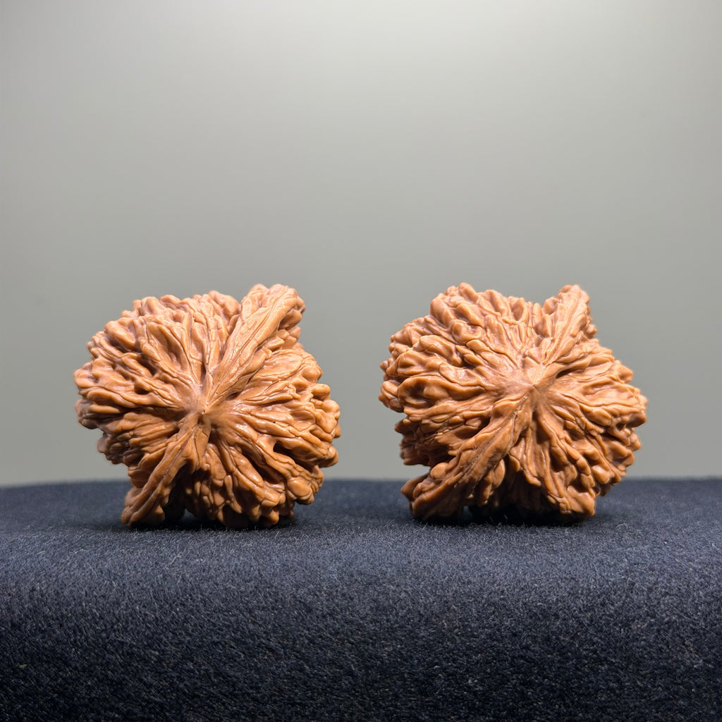 Four Towers Wenwan Walnut · 42mm · Select Ritual