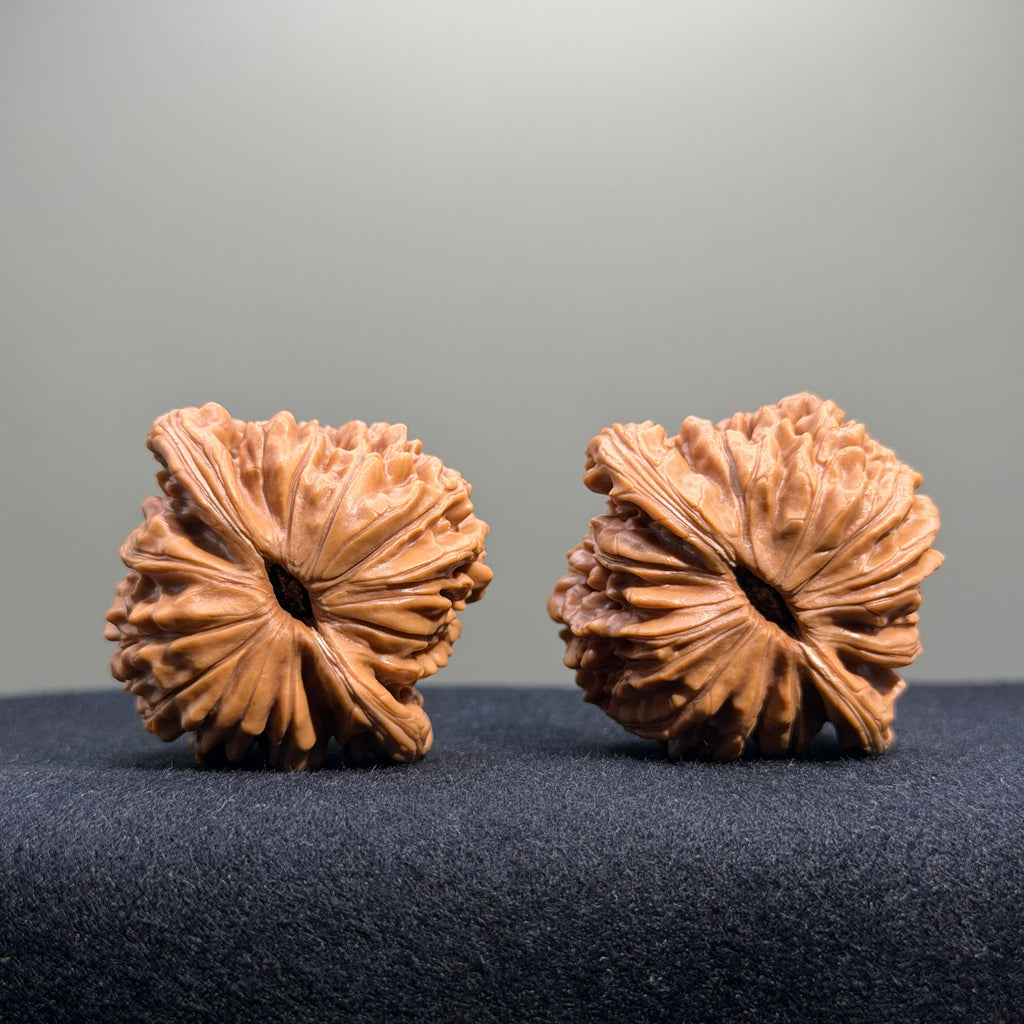 Four Towers Wenwan Walnut · 42mm · Select Ritual