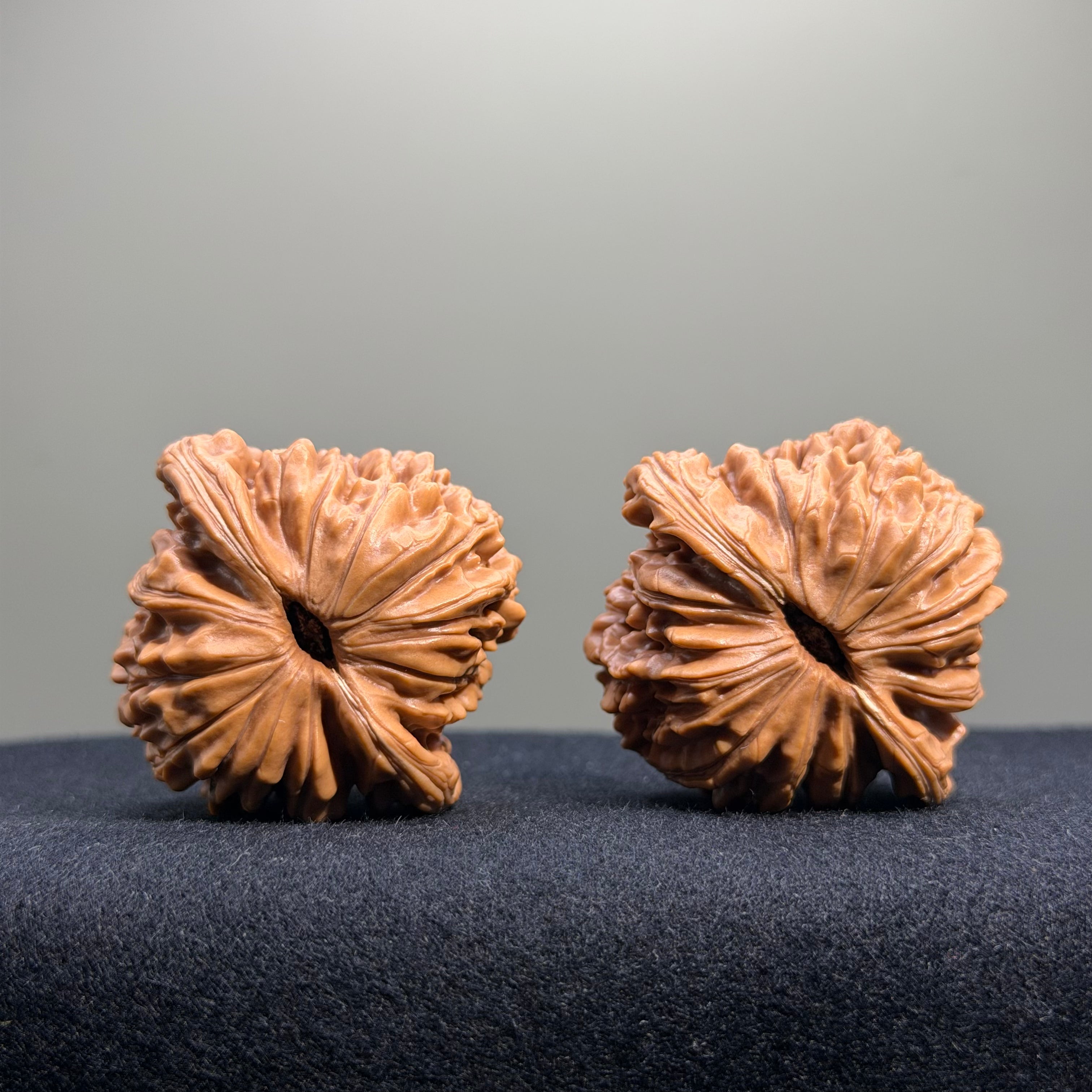 Four Towers Wenwan Walnut · 42mm · Select Ritual