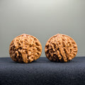 Four Towers Wenwan Walnut · 42mm · Select Ritual