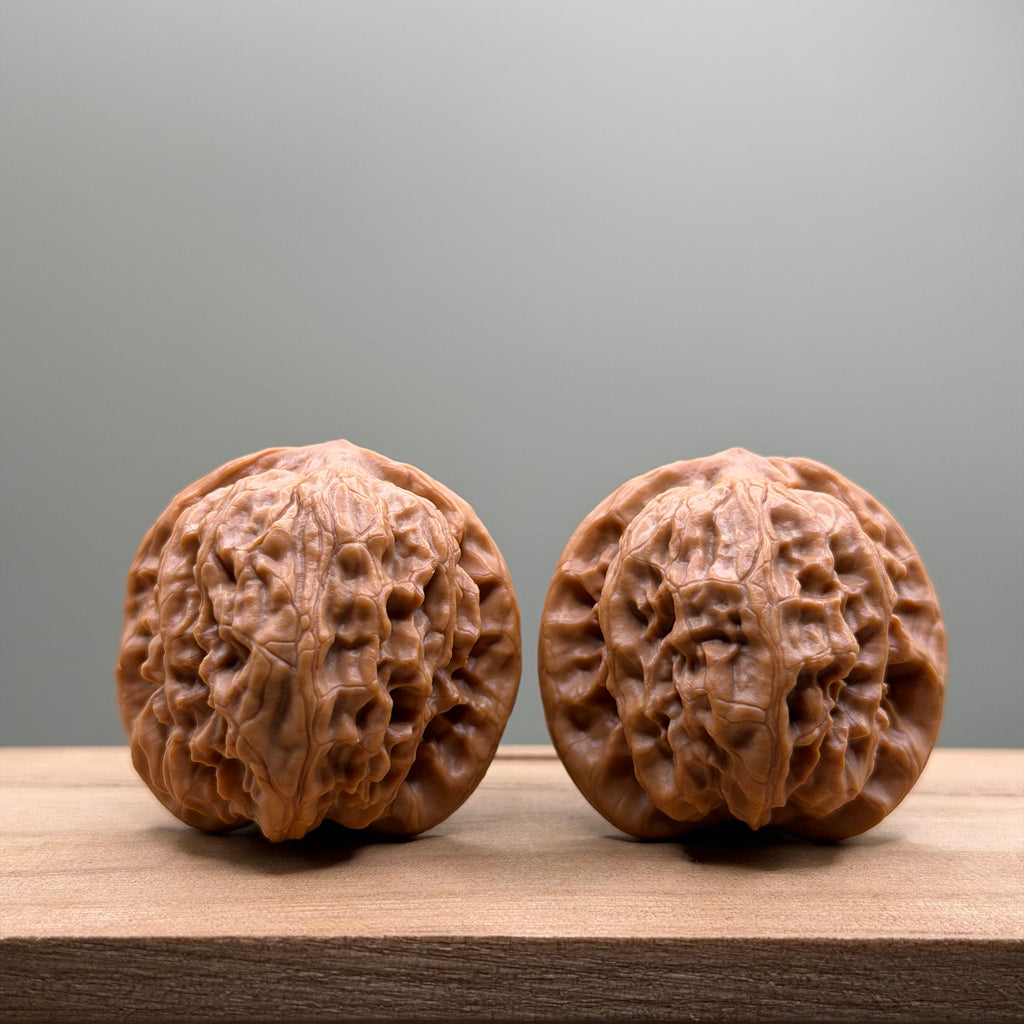 Wild Wolf Tiger Head Walnut