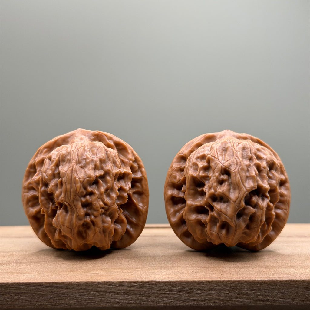 Wild Wolf Tiger Head Walnut