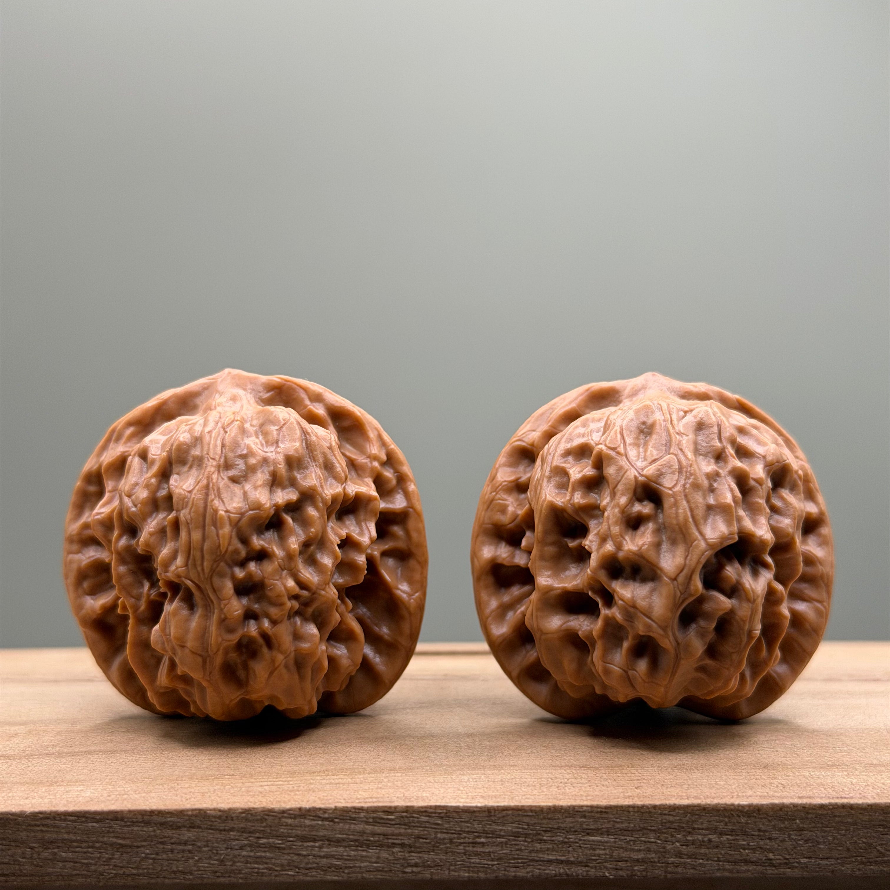 Wild Wolf Tiger Head Walnut