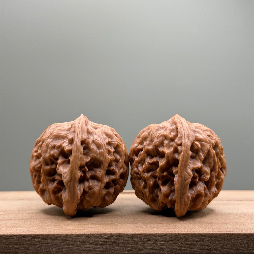 Wild Wolf Tiger Head Walnut