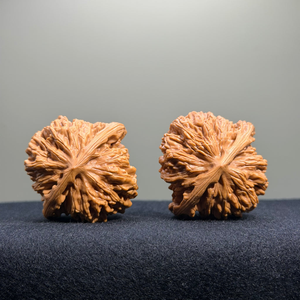 Four Towers Wenwan Walnut · 42mm · Select Ritual