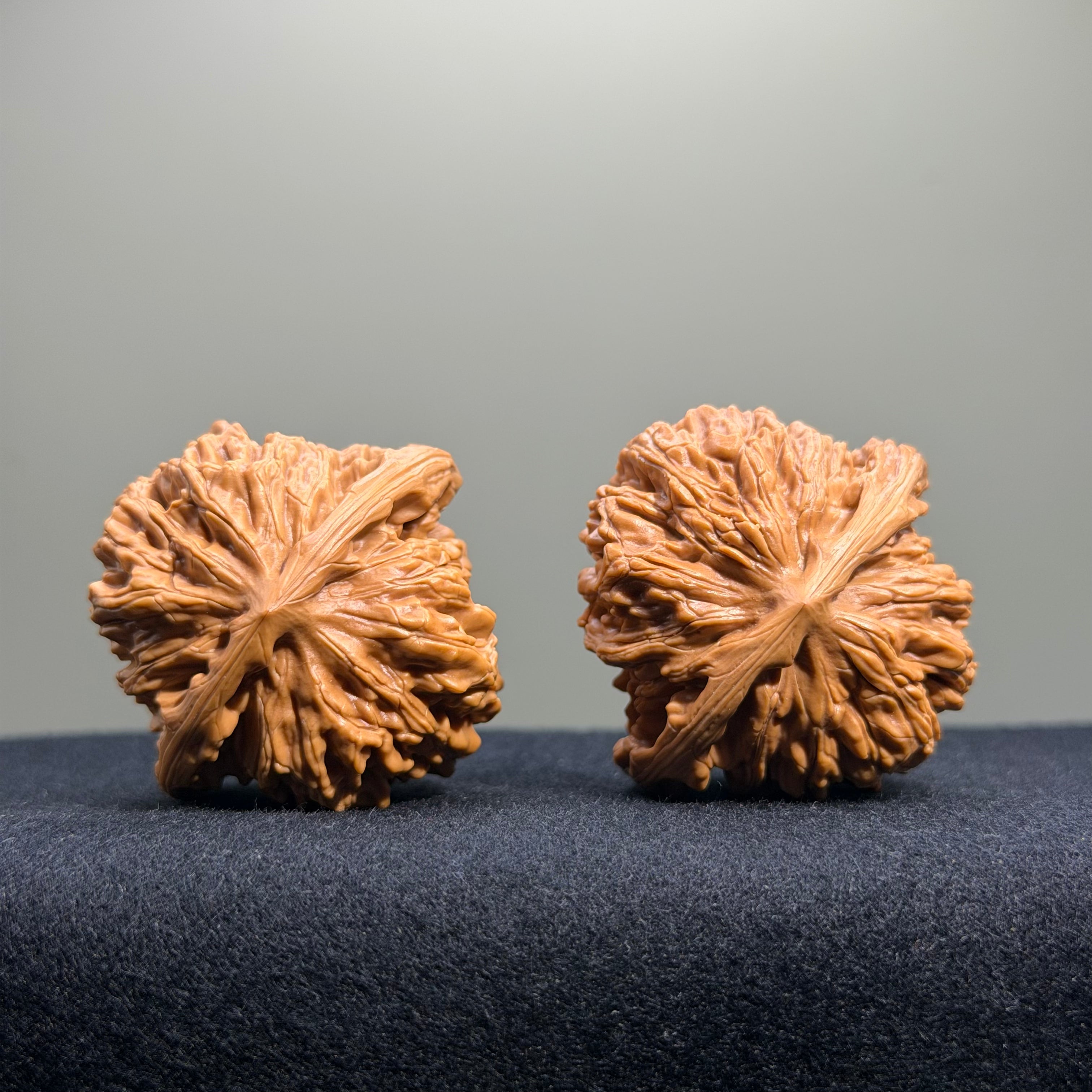 Four Towers Wenwan Walnut · 42mm · Select Ritual