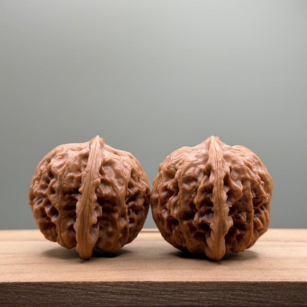 Wild Wolf Tiger Head Walnut
