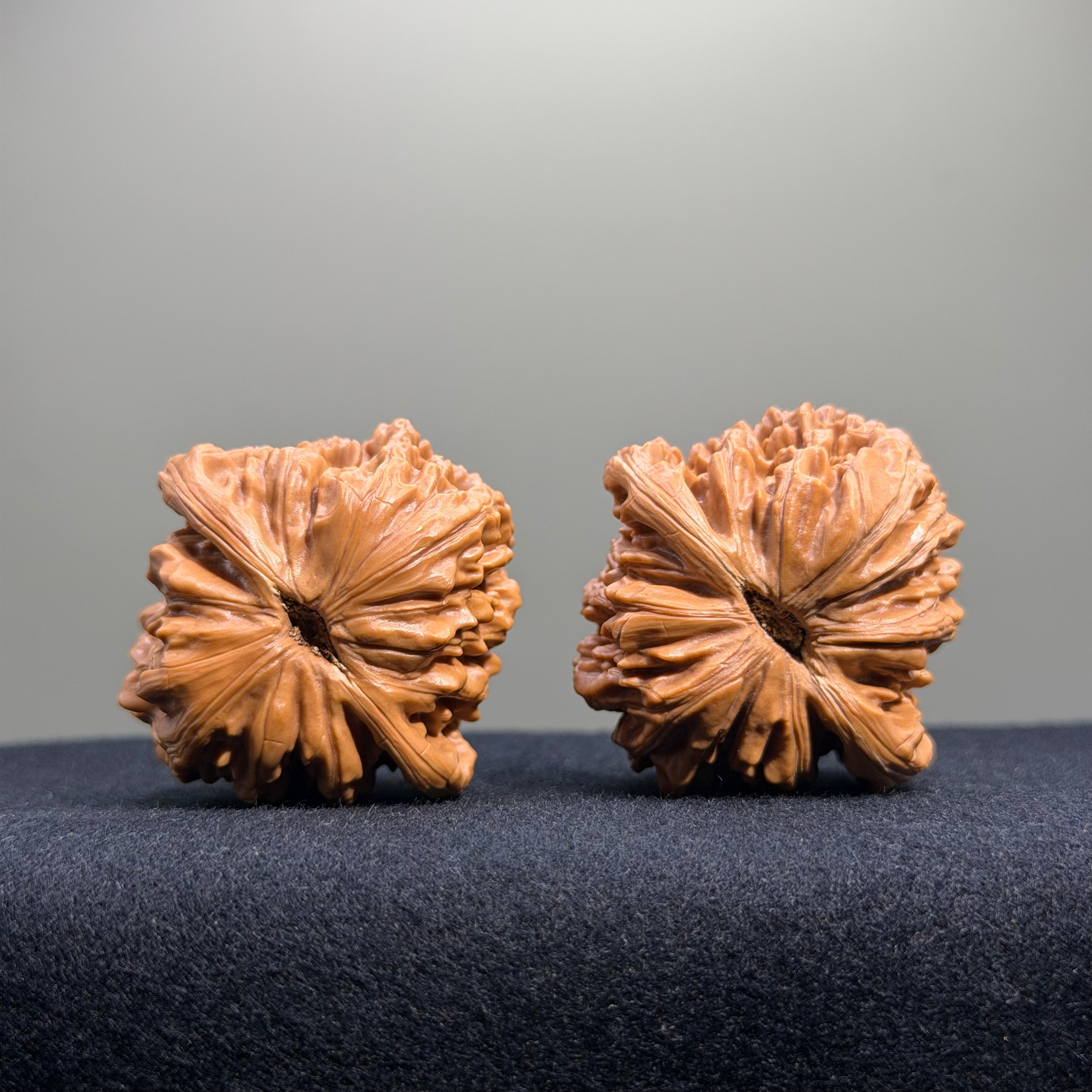 Four Towers Wenwan Walnut · 42mm · Select Ritual