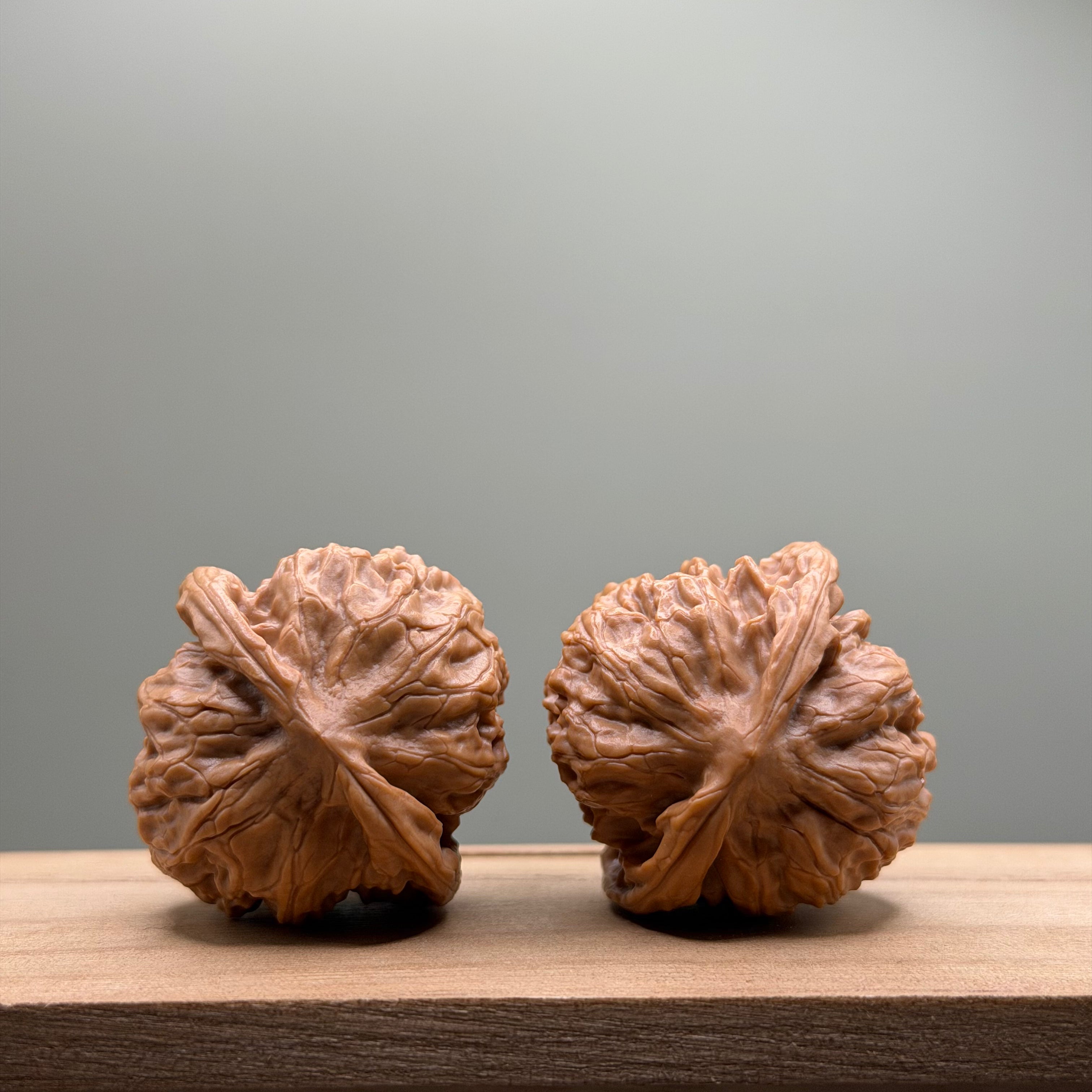 Wild Wolf Tiger Head Walnut