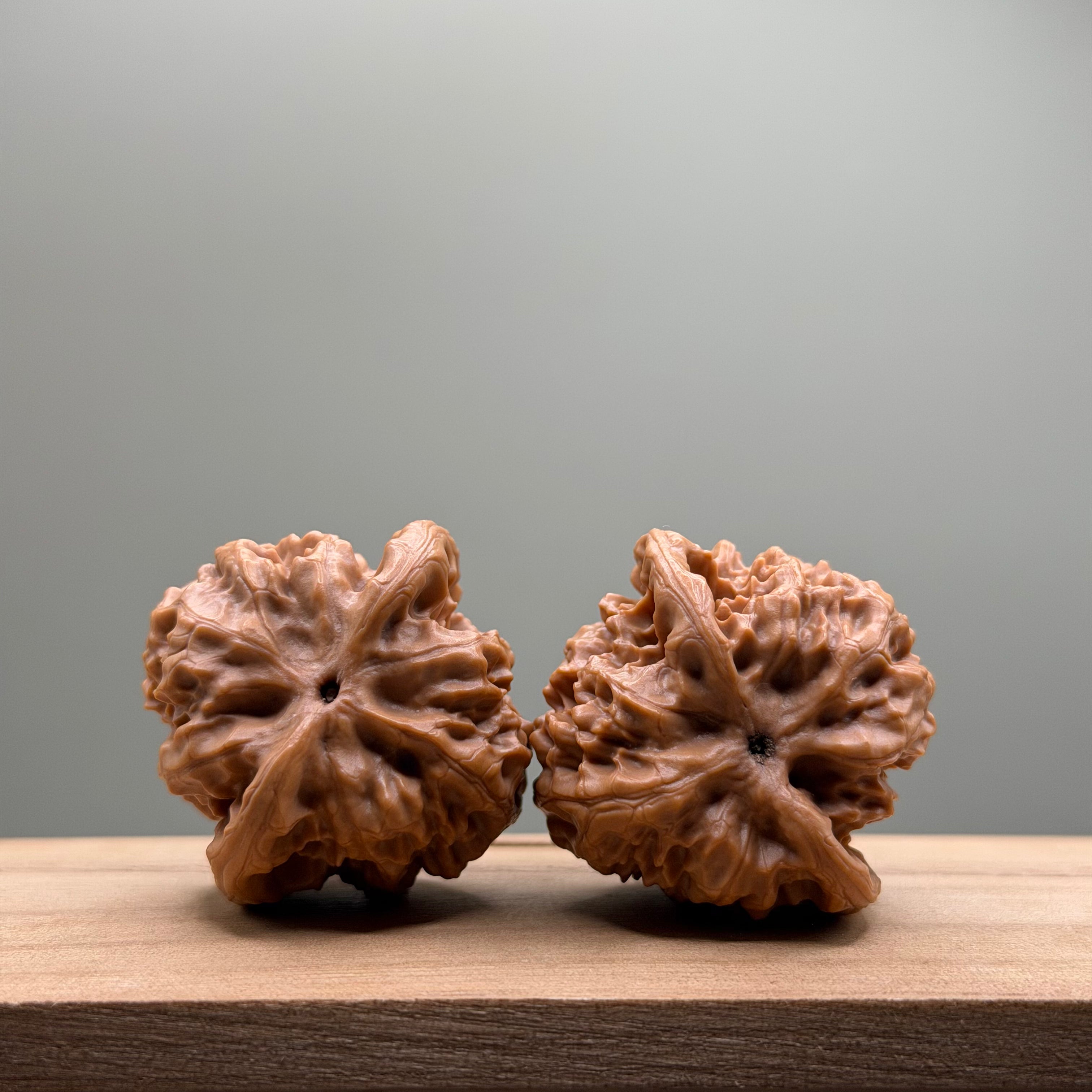 Wild Wolf Tiger Head Walnut
