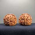 Four Towers Wenwan Walnut · 43mm · Select Ritual