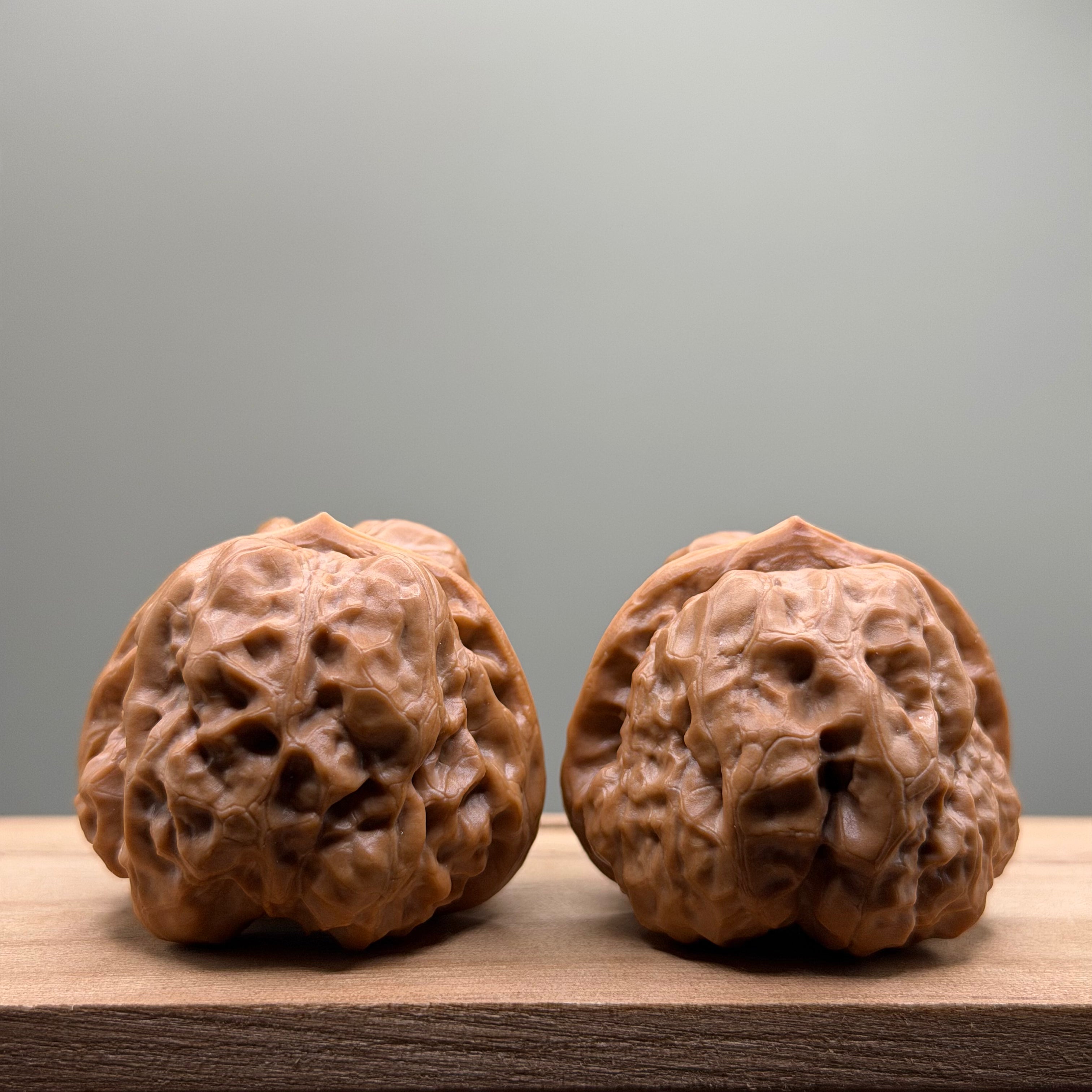 Toad Head Walnut
