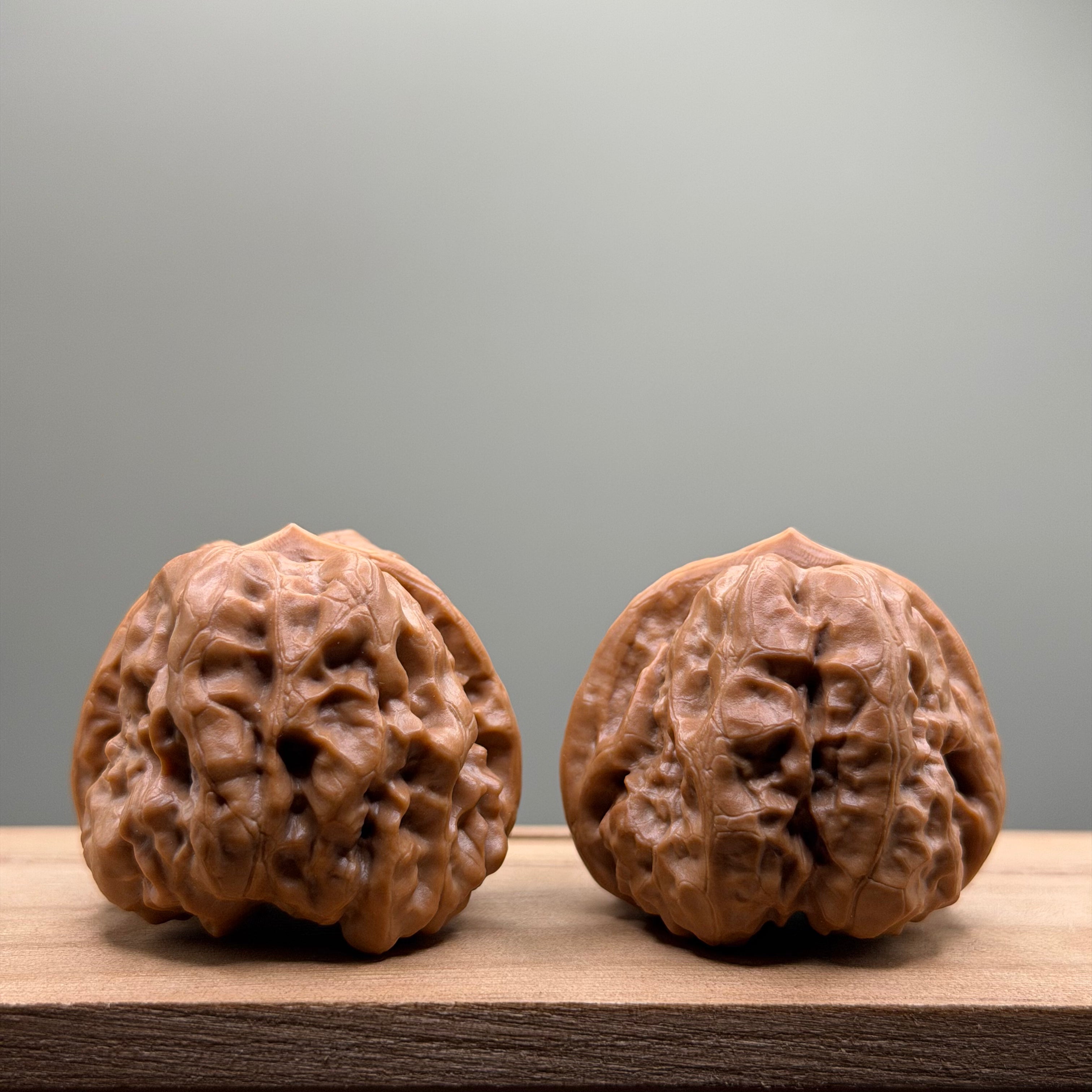 Toad Head Walnut