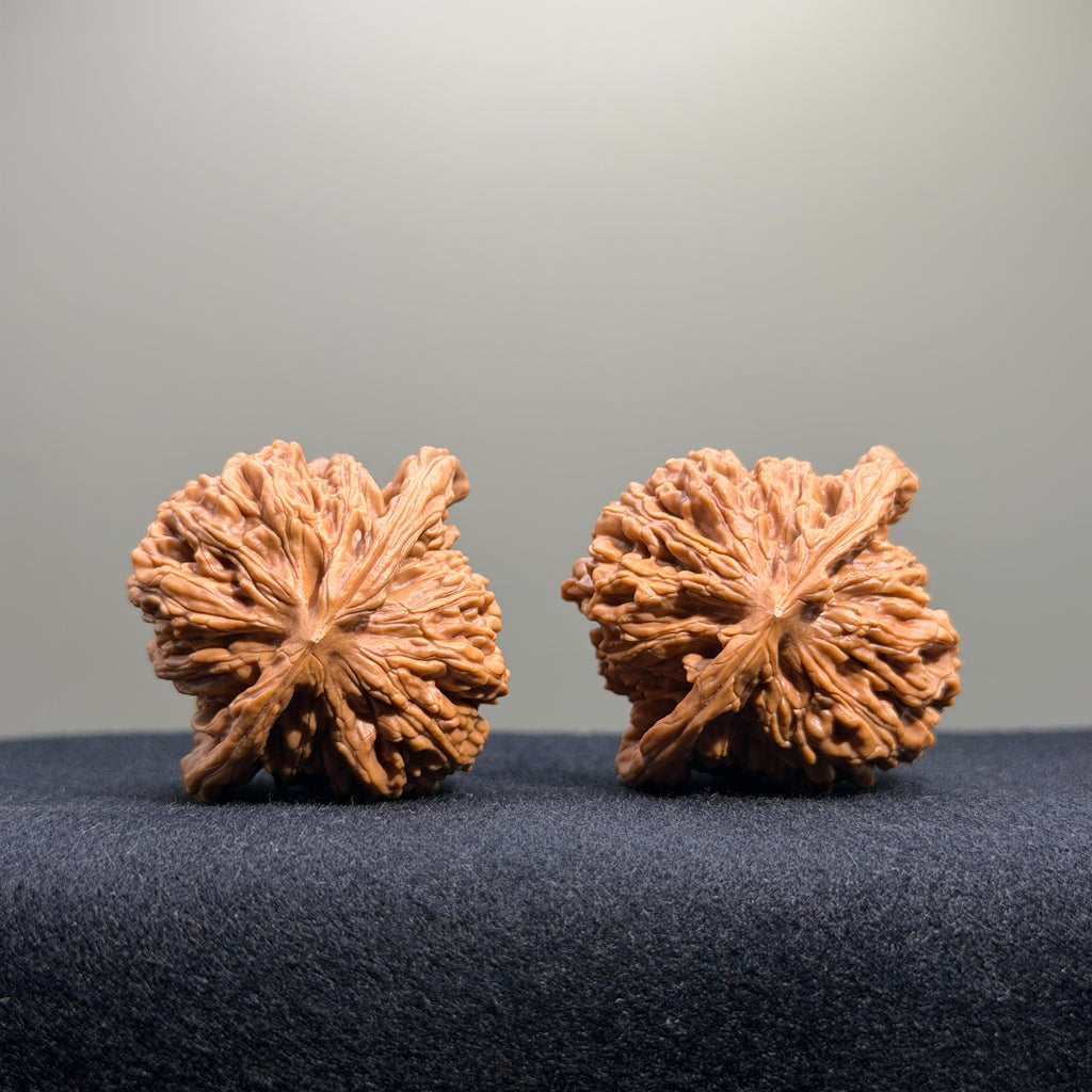 Four Towers Wenwan Walnut · 43mm · Select Ritual