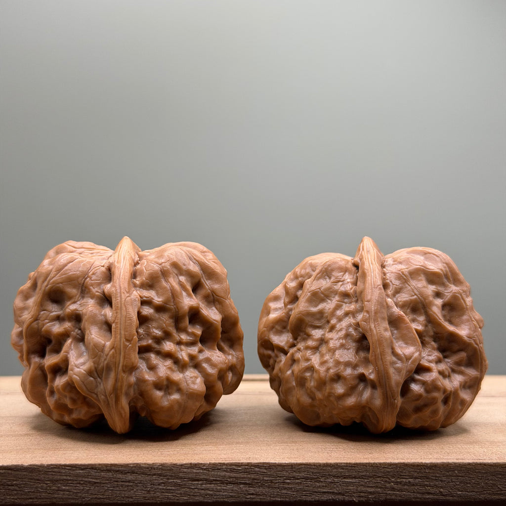 Toad Head Walnut