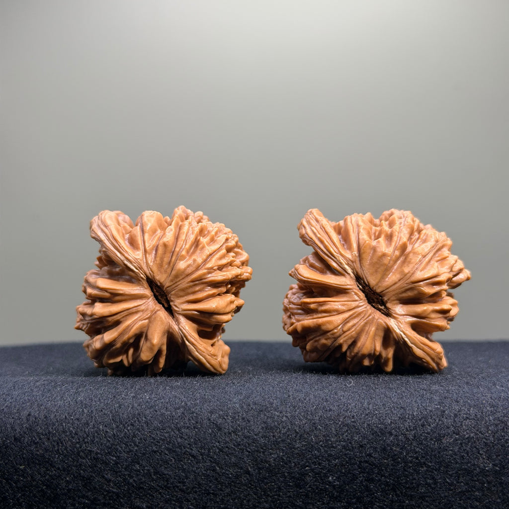 Four Towers Wenwan Walnut · 43mm · Select Ritual