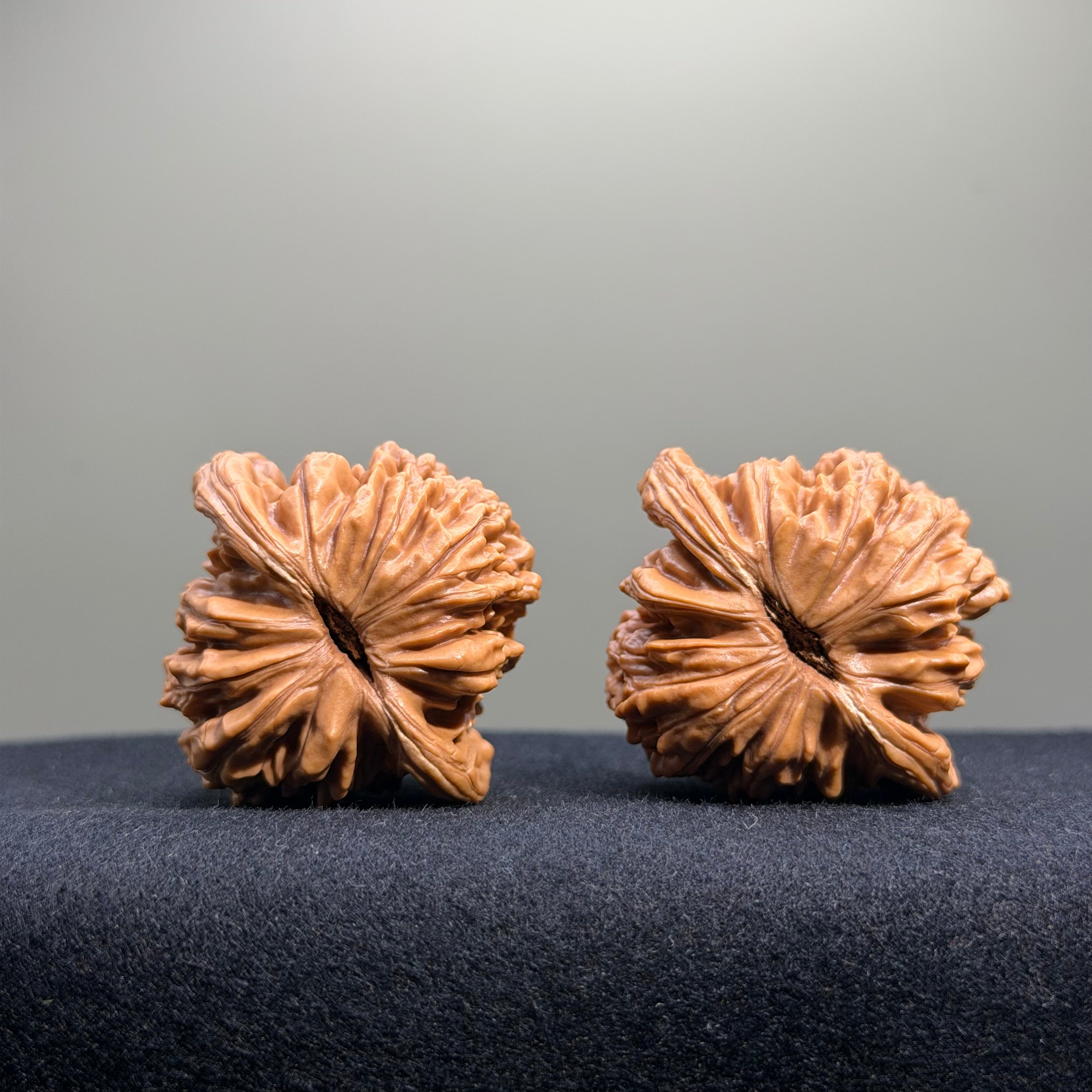 Four Towers Wenwan Walnut · 43mm · Select Ritual