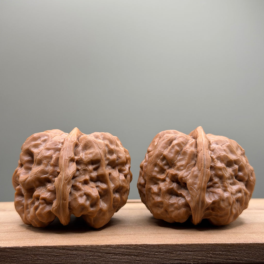 Toad Head Walnut