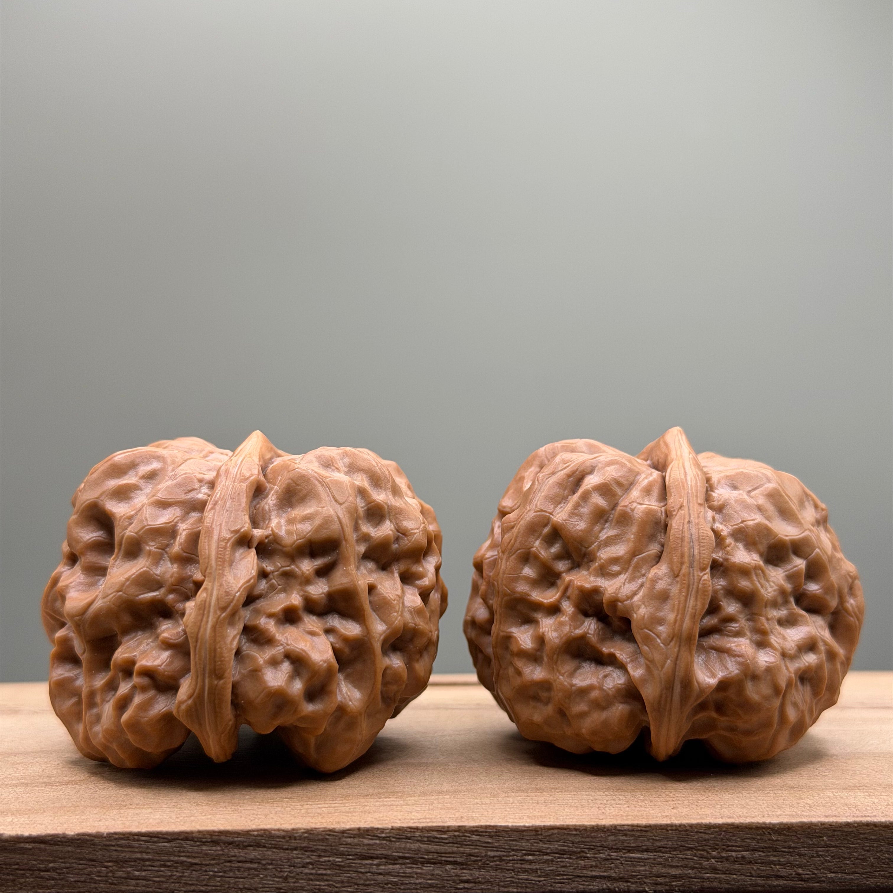 Toad Head Walnut