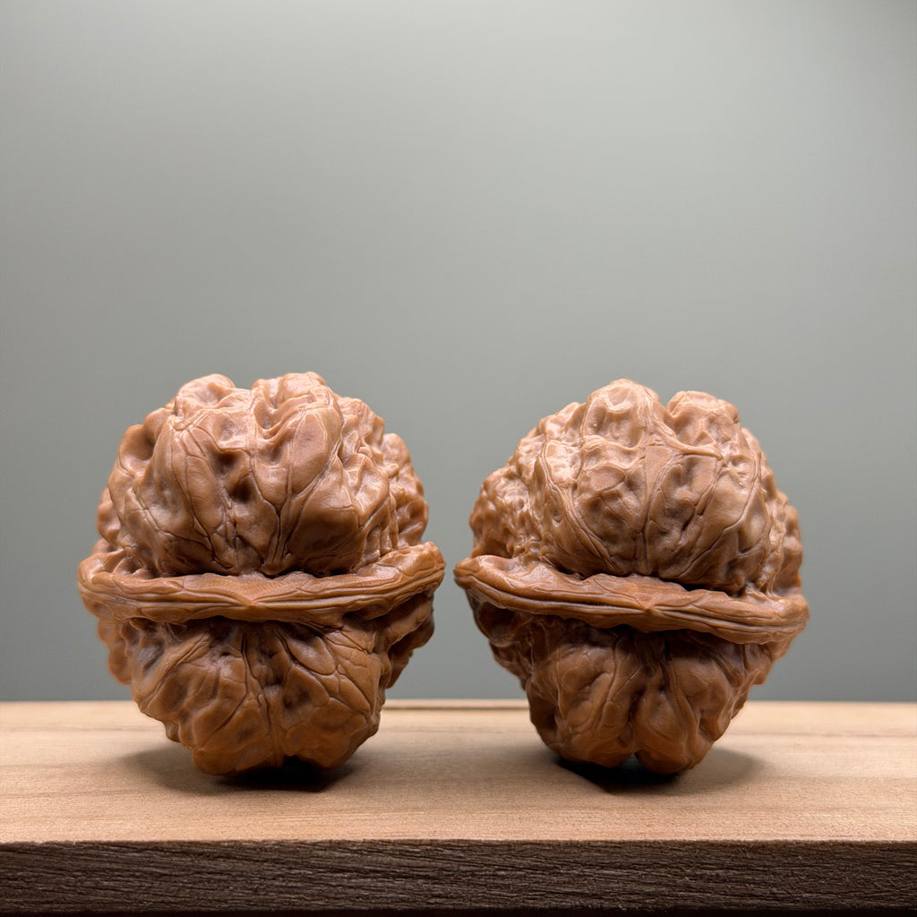 Toad Head Walnut
