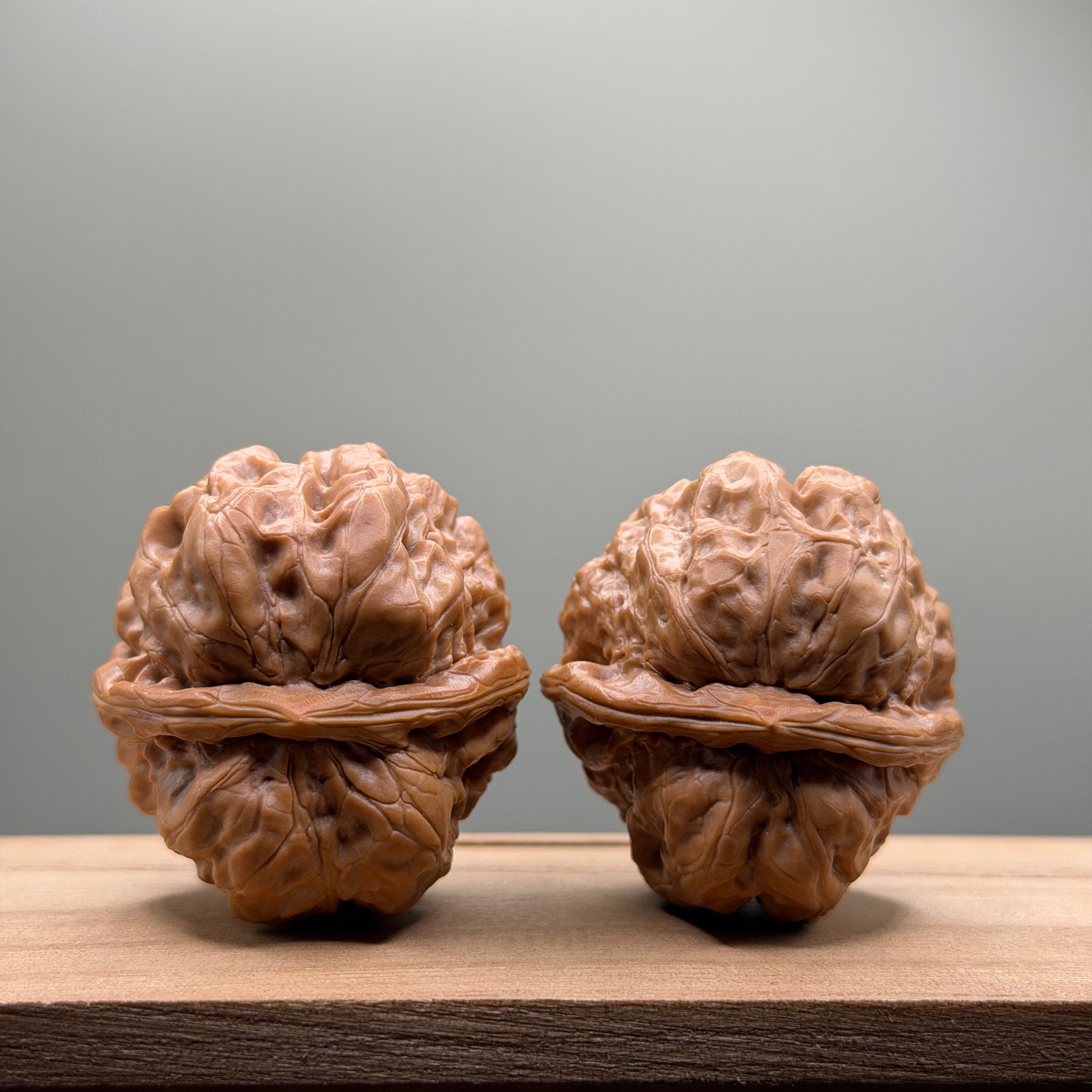 Toad Head Walnut