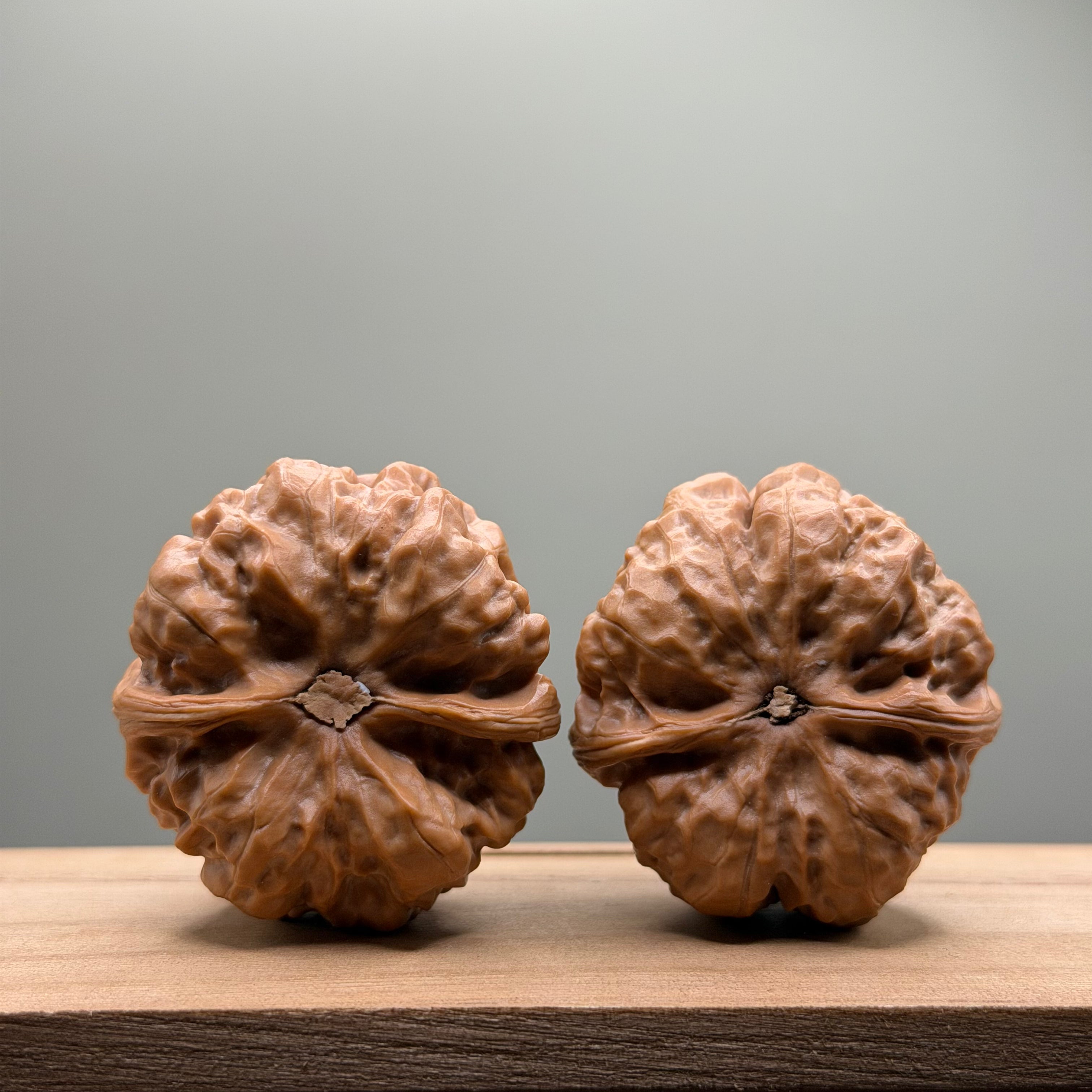 Toad Head Walnut