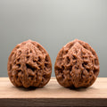 Wheat Ear Tiger Head Walnut
